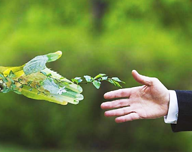 A importância do licenciamento ambiental executado pelos municípios conforme a Constituição Federal