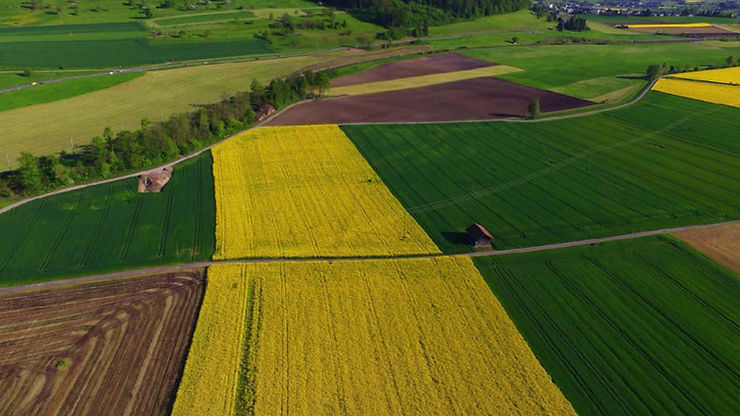 Desafios e oportunidades para o agronegócio