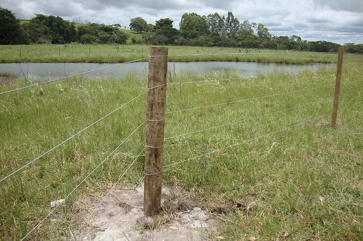 Meio ambiente: cercas de proteção são colocadas em Áreas de Preservação Permanente em Uberlândia