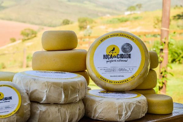 No Dia Mundial do Queijo, Emater publica catálogo com informações de produtores e receitas
