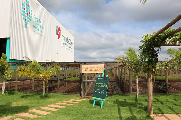 Cafeicultores da Região do Cerrado Mineiro investem em projetos para preservação do bioma Cerrado