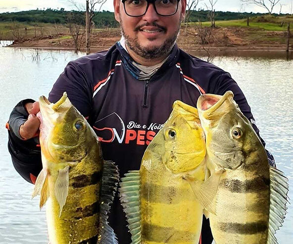 O circuito da pesca esportiva