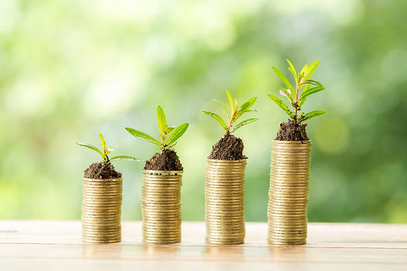Parceria vai desenvolver mercado de finanças verdes em Minas Gerais