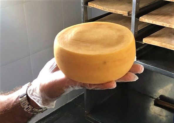 Emater-MG conclui estudo de caracterização de região produtora de Queijo Minas Artesanal