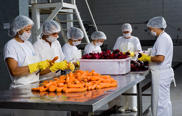 Levantamento mostra que Minas Gerais tem 32 mil agroindústrias familiares