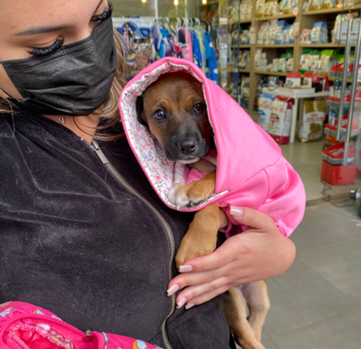 Brasal Incorporações comemora sucesso da 2ª Feira de Adoção de Pets
