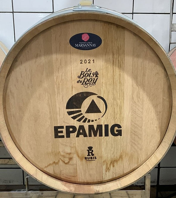 Epamig anuncia que irá produzir vinhos Syrah Gran Reserva