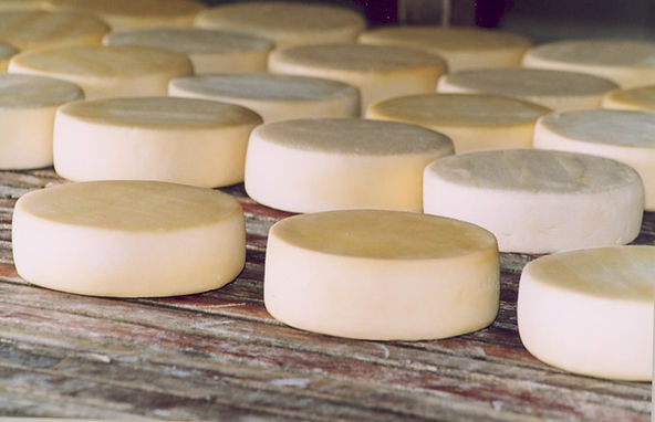 Região de Diamantina será reconhecida como produtora do Queijo Minas Artesanal