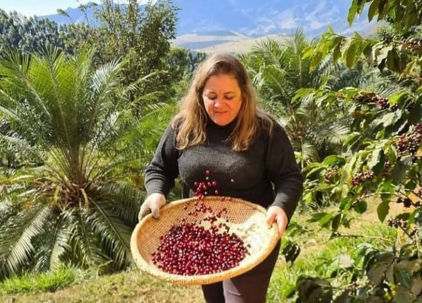 Produtora de Araponga vence Prêmio ‘Café do Brasil para o Mundo’