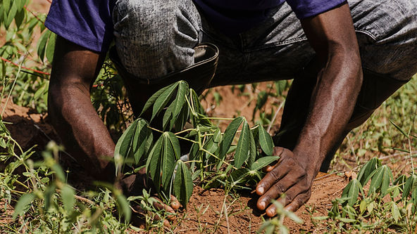 Seapa lança plataforma para capacitar produtor rural