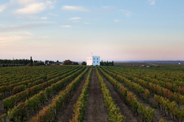 Origem dos vinhos