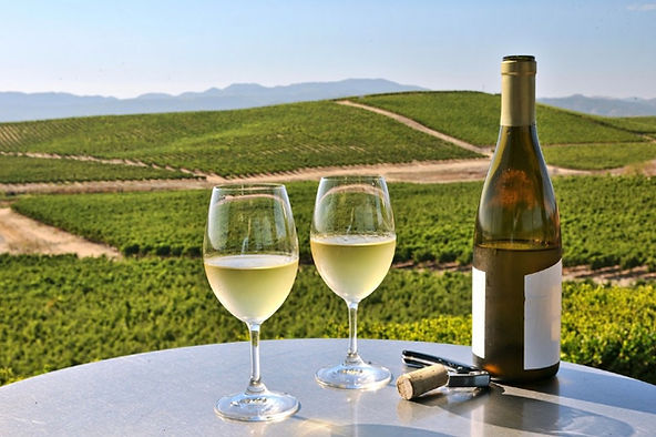 A história do vinho no Brasil