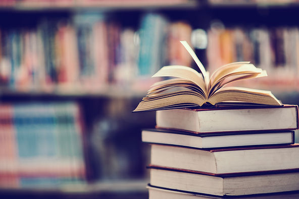 Brasil termina 2021 registrando aumento de 4,9% na venda de livros