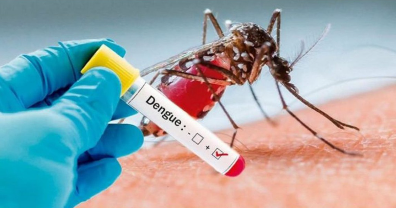 Prefeitura decreta situação de emergência devido ao aumento de casos de Dengue