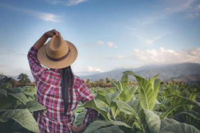 Dia Internacional da Mulher será comemorado por mulheres do agro no parque Camaru