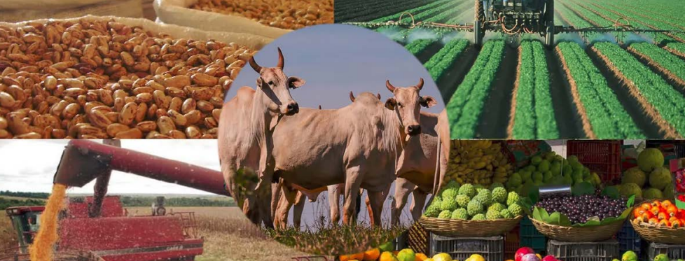 Agronegócio, desafios e oportunidades. Motor de desenvolvimento econômico, social e ambiental