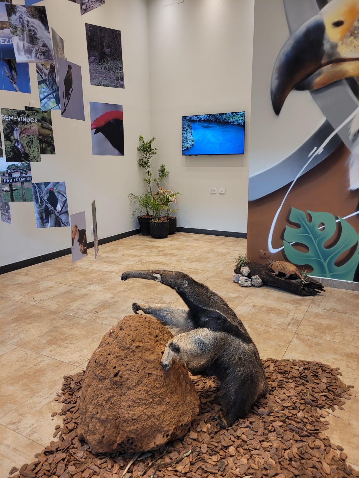 Uberlândia Shopping apresenta viagem imersiva pelas belezas do Parque do Pau Furado
