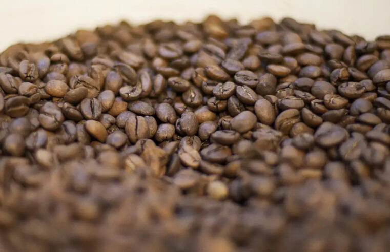 Ministério da Agricultura suspende vendas de três marcas de café por contaminação e exige recolhimento imediato
