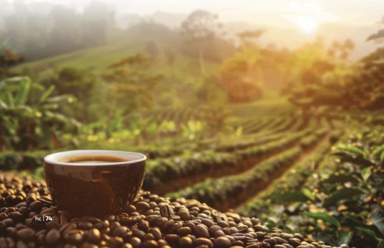 Café importado livre de impostos – Solução mágica ou cortina de fumaça?