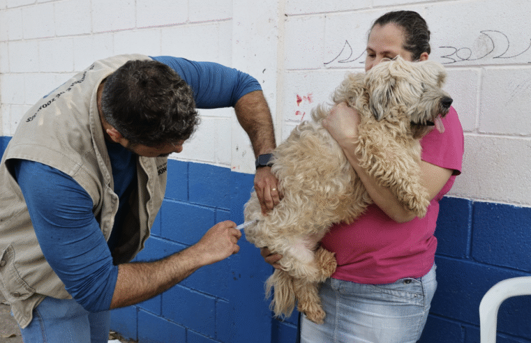 Começa etapa urbana da Campanha de Vacinação Antirrábica