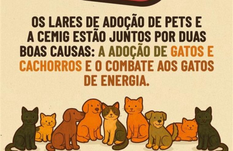 Cemig promove Feira de Adoção de Pets em Uberlândia