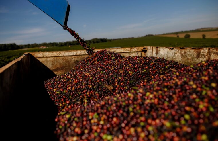 Recorde histórico: 13ª edição do Prêmio Região do Cerrado Mineiro tem 714 inscrições