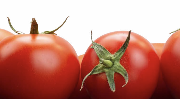 O legado da Trebeschi Tomates – Do interior paulista ao protagonismo no agro brasileiro do Triângulo Mineiro